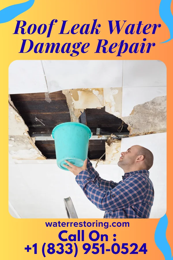 Roof Leak Water Damage Repair in New York Mills, MN